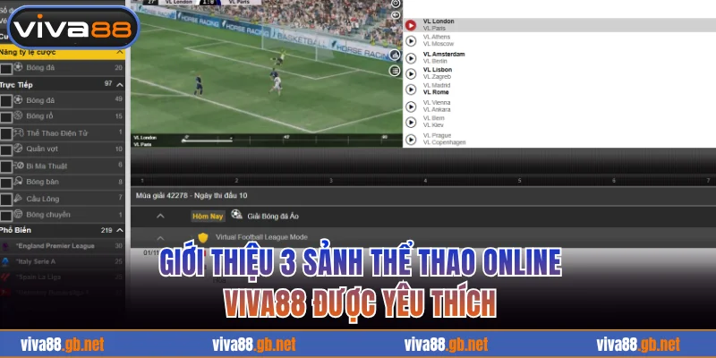 Giới thiệu 3 sảnh thể thao online VIVA88
