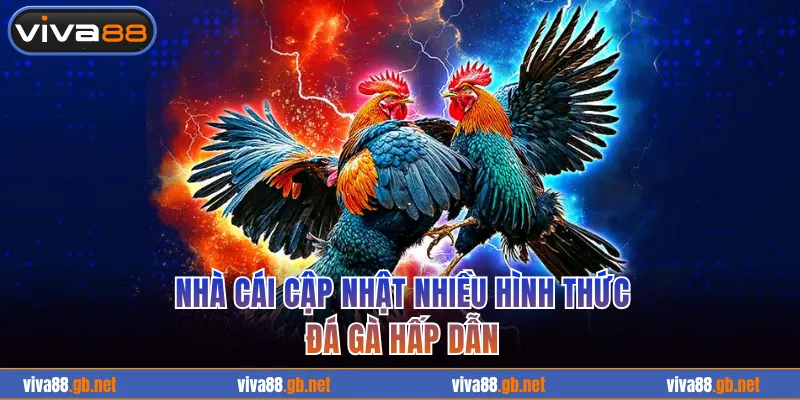 Nhà cái cập nhật nhiều hình thức đá gà hấp dẫn